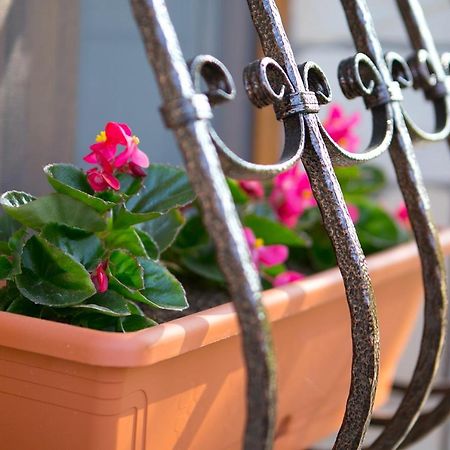 Forras Apartman Eğri Dış mekan fotoğraf